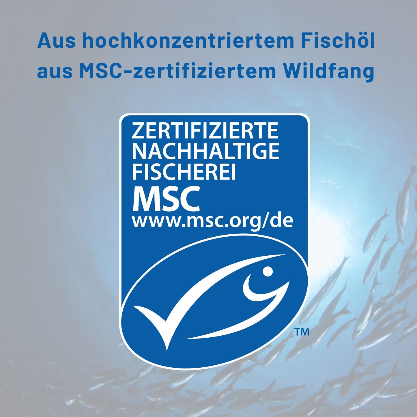aus MSC-zertifiziertem Wildfang