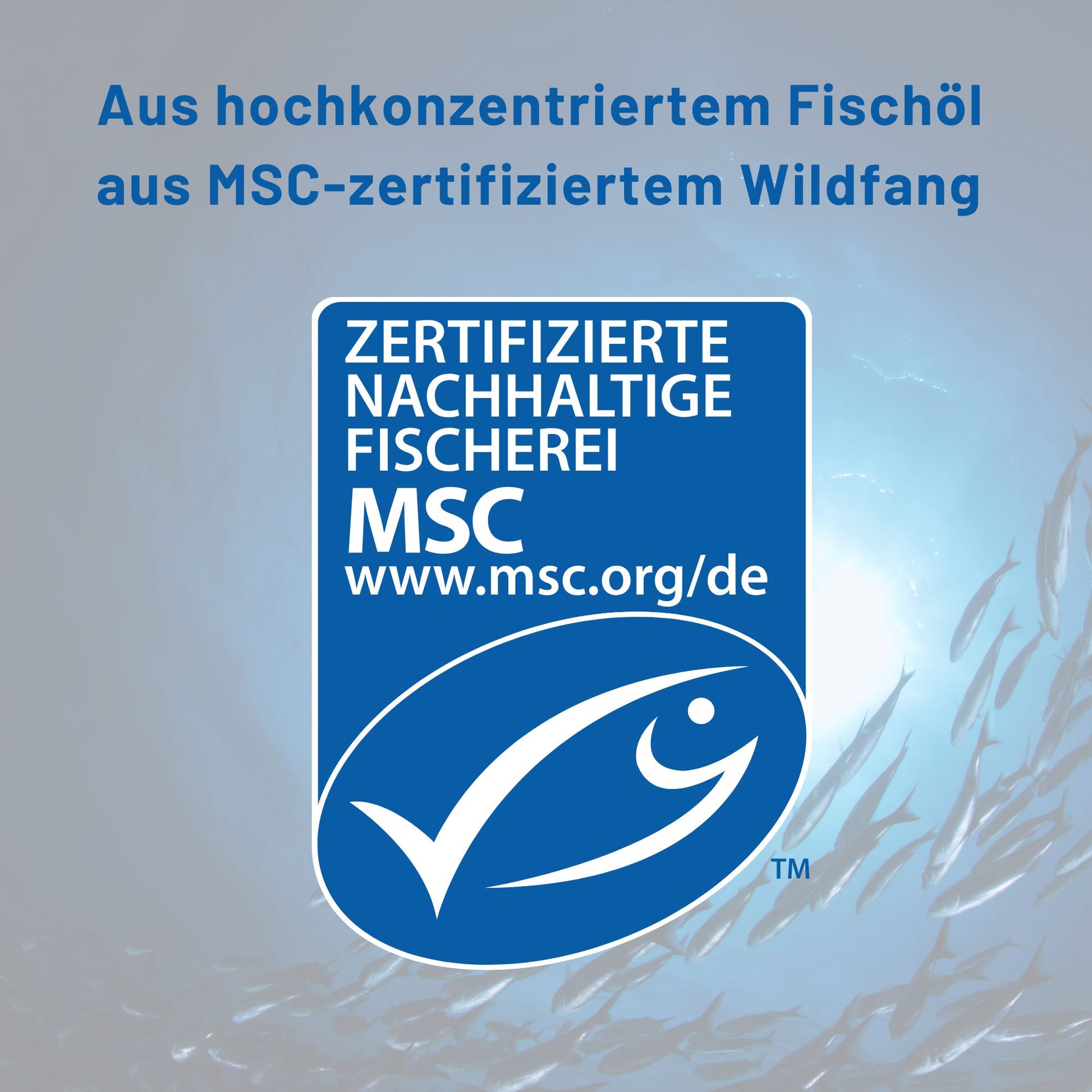 aus MSC-zertifiziertem Wildfang
