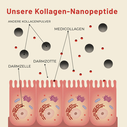mediCollagen Kollagen Kapseln