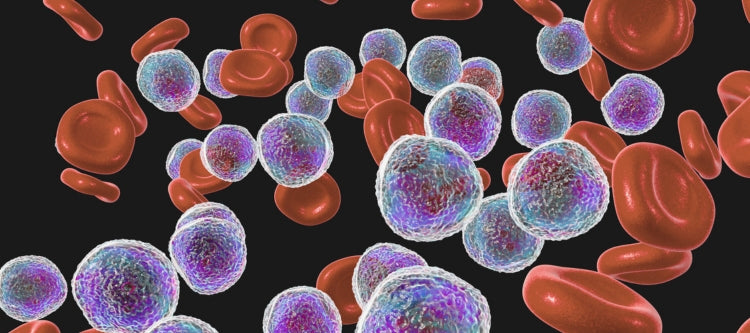 Immunsystem