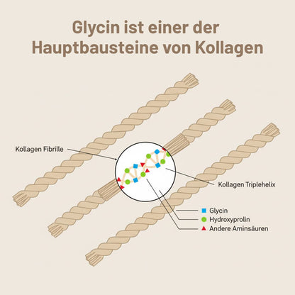 Kollagen Fibrillen Abbildung