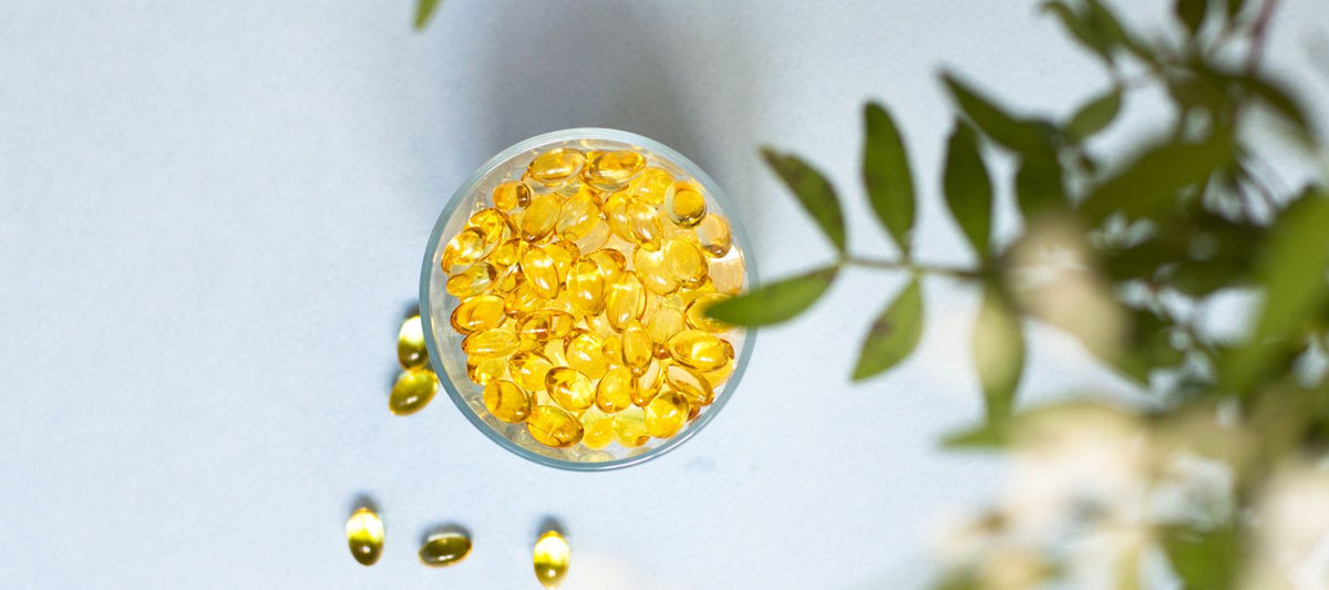 Omega-3-Kapseln in einer runden Glasschale, umgeben von grünen Pflanzenblättern