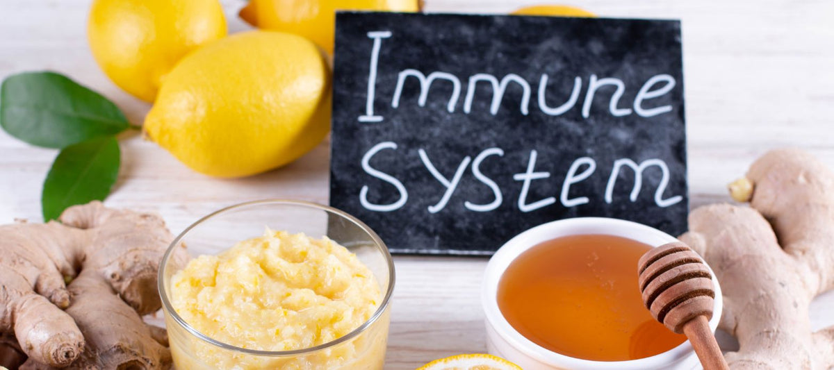 Zitronen, geriebener Ingwer und Honig auf einem Holztisch neben einer Tafel mit der Aufschrift "Immune System" – Symbolbild für Vitamin C und natürliche Zutaten zur Stärkung des Immunsystems